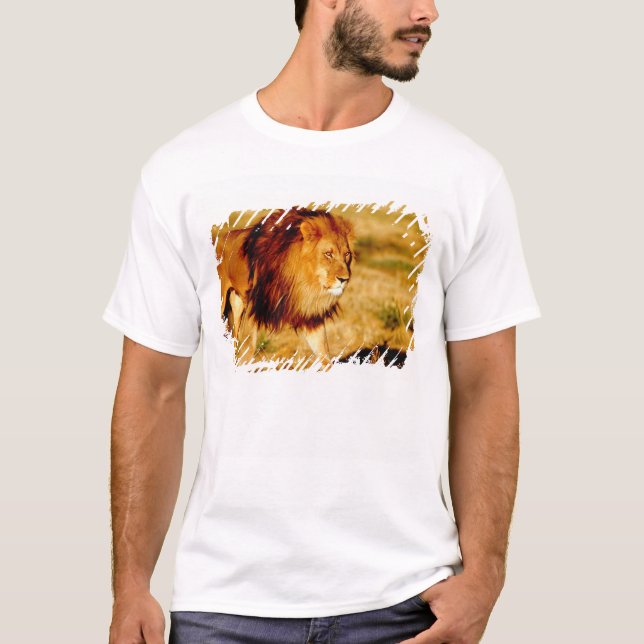 Camiseta León Solitario (Anverso)