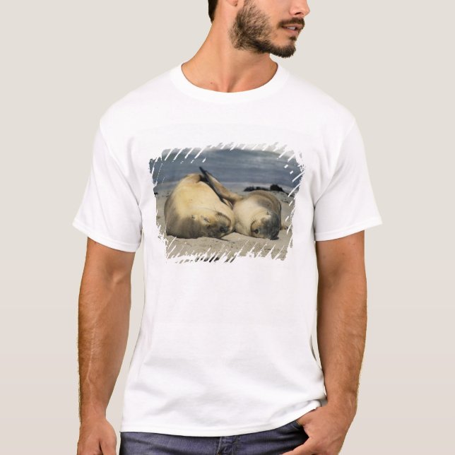 Camiseta Leones del mar de Australia, Neophoca cinerea), (Anverso)