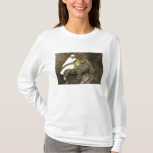 Camiseta Leopardo africano, Panthera pardus