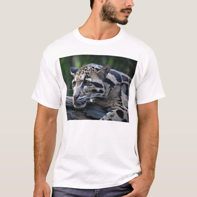 Camiseta Leopardo nublado (Anverso)