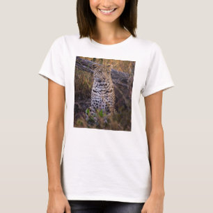 Camiseta Leopardo sentado, Botsuana, África