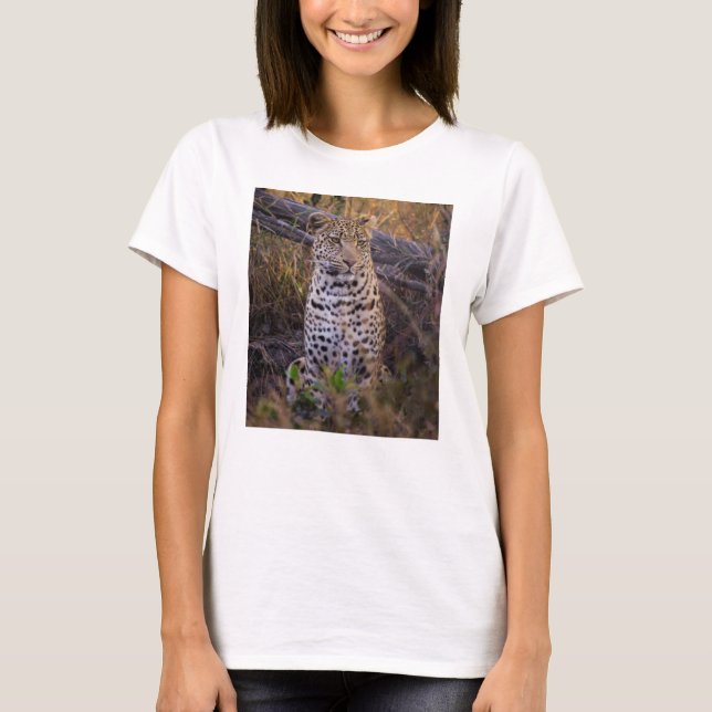 Camiseta Leopardo sentado, Botsuana, África (Anverso)