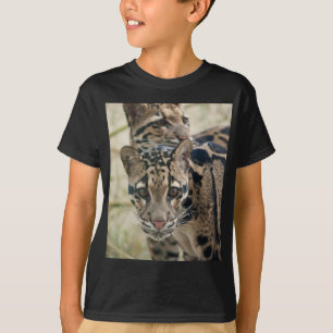 Camiseta Leopardos nublados