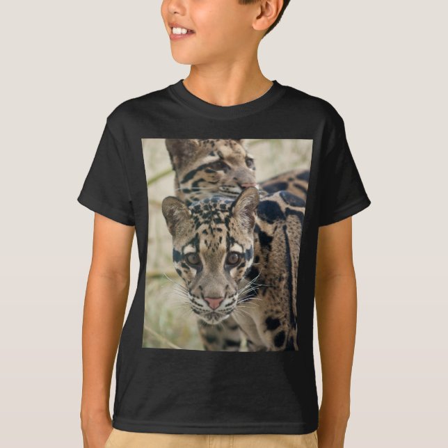 Camiseta Leopardos nublados (Anverso)