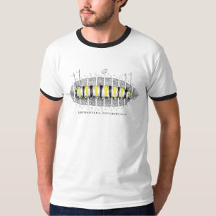 Camiseta Lepidópteros Pittsburghia