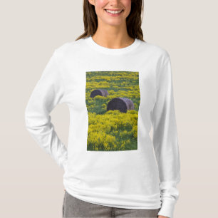 Camiseta Letonia, Letonia nororiental, región de Vidzeme,