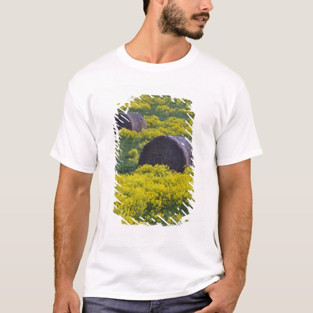 Camiseta Letonia, Letonia nororiental, región de Vidzeme, (Anverso)