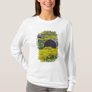 Camiseta Letonia, Letonia nororiental, región de Vidzeme,