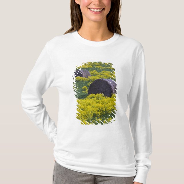 Camiseta Letonia, Noreste de Letonia, Región de Vidzeme, (Anverso)