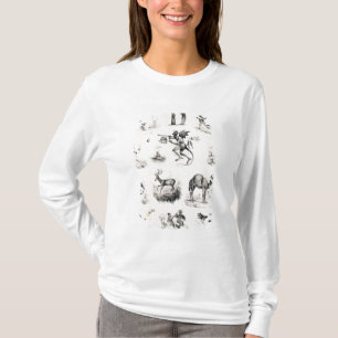 Camiseta Letra D de una cartilla del alfabeto, 1832