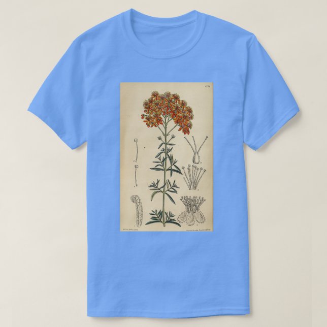 Camiseta Leve de hipericum rubrum 144 8773 (Diseño del anverso)