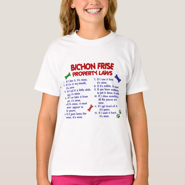 Camiseta Leyes 2 de la propiedad de FRISE de BICHON (Anverso)