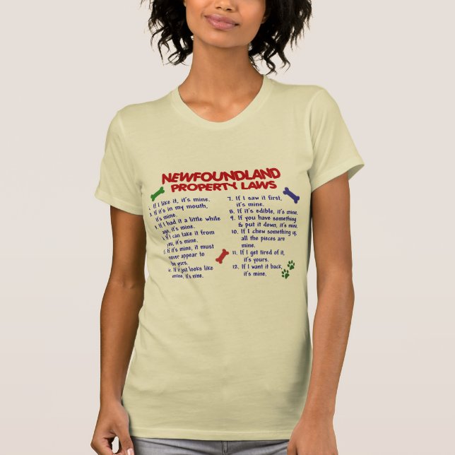 Camiseta Leyes 2 de la propiedad de TERRANOVA (Anverso)