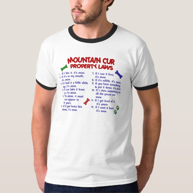 Camiseta Leyes 2 de la propiedad del CUR de la MONTAÑA (Anverso)