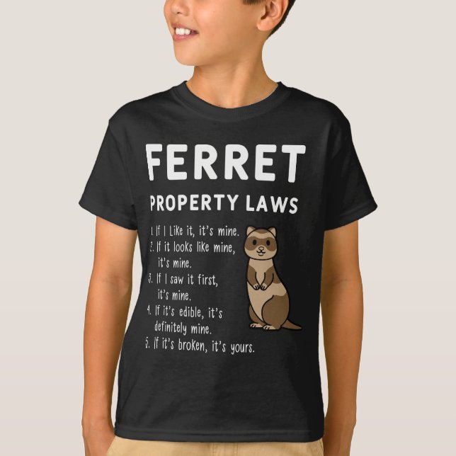 Camiseta Leyes de propiedad de Ferret Cinco Declaraciones D (Anverso)