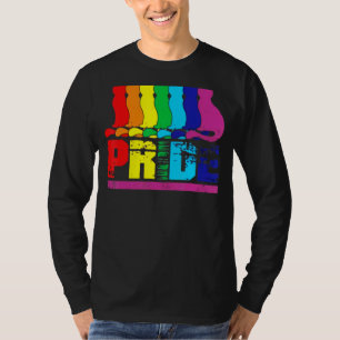 Camiseta Lgbtq Purride Ally Gay Orgullo Gay Bandera Arcoiri