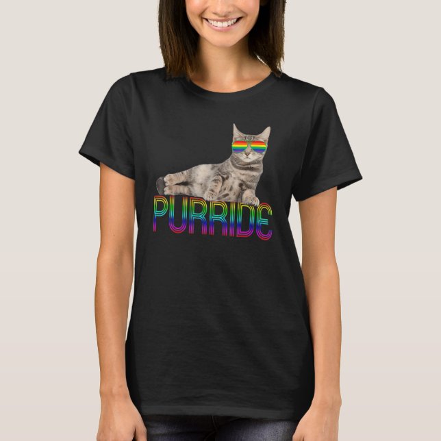 Camiseta Lgbtq Purride Ally Gay Orgullo Gay Bandera Arcoiri (Anverso)