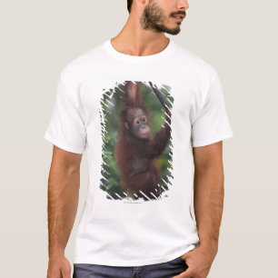 Camiseta Liana que sube del bebé del orangután