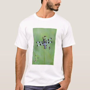 Camiseta Libélula posada en la hierba, Canadá