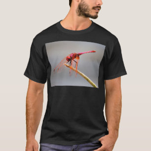 Camiseta libélula roja 5