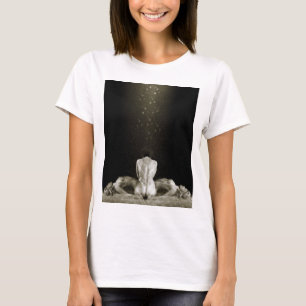 Camiseta Libere 2013