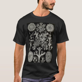 Camiseta Lichenes (Thallophytes - Lichens) - Ernst