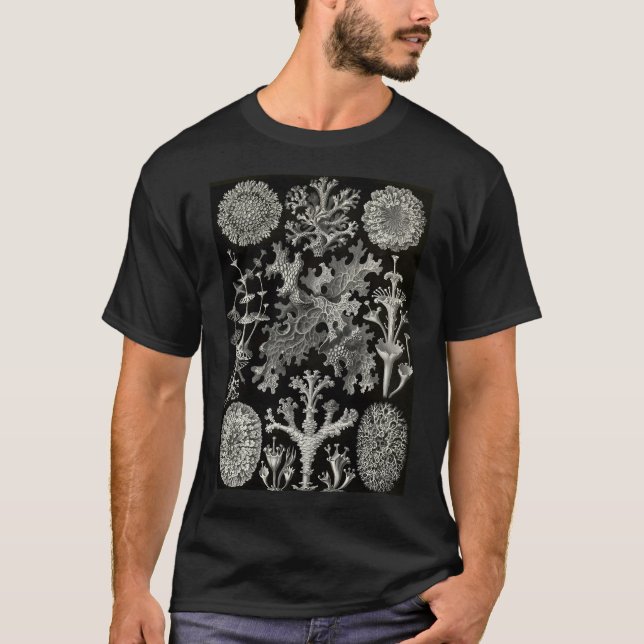 Camiseta Lichenes (Thallophytes - Lichens) - Ernst (Anverso)