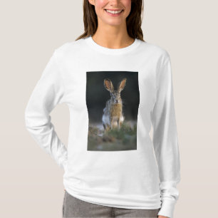 Camiseta Liebre de cola negra, Lepus californicus, 2