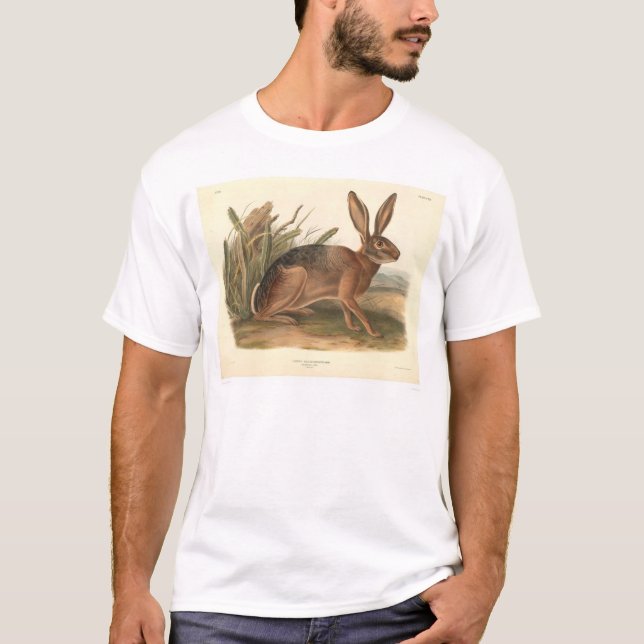 Camiseta Liebres de California por Audubon (0177A) (Anverso)