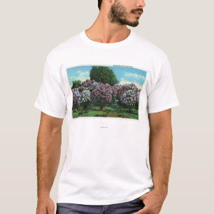 Camiseta Lilas de Highland Park en la floración