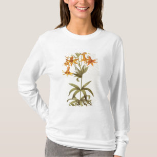 Camiseta Lilium Penduliflorum, de "Les Liliacees", 1811