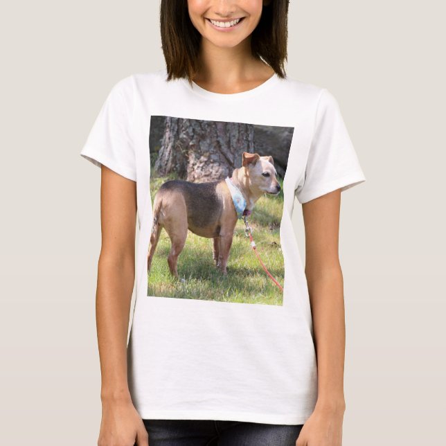 Camiseta Lily (Anverso)