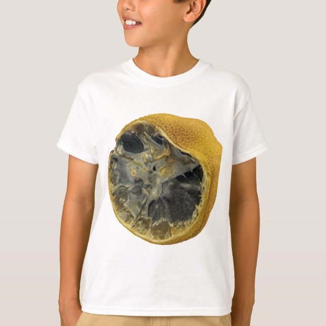 Camiseta Limón rotatorio (Anverso)