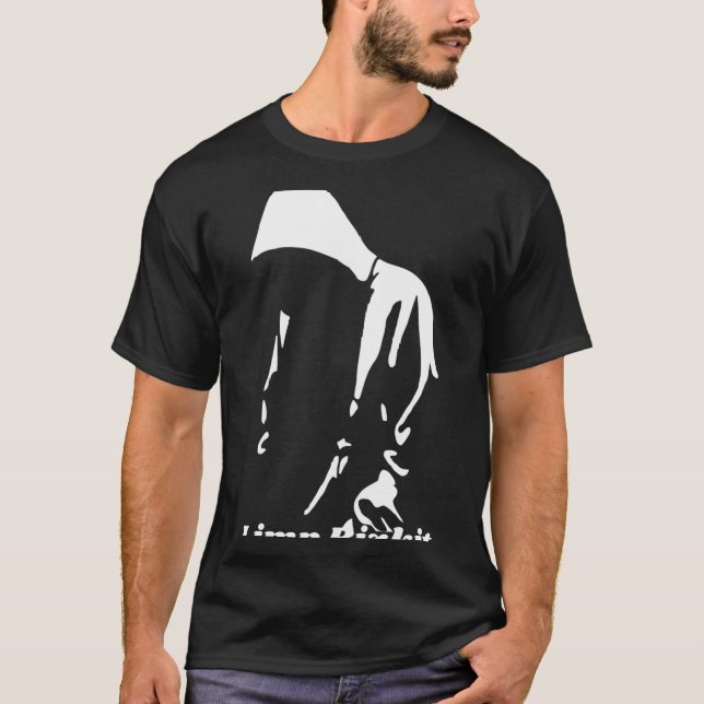 Camiseta Limp Bizkit (1) (Anverso)