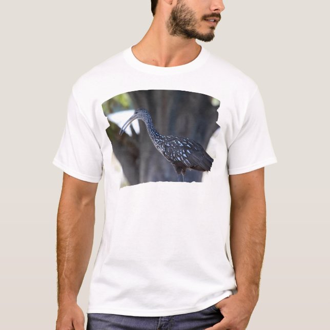 Camiseta Limpkin, The Crying Bird (Anverso)