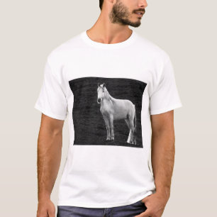 Camiseta LIN10BW el Stance.tif
