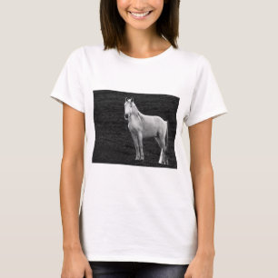 Camiseta LIN10BW el Stance.tif