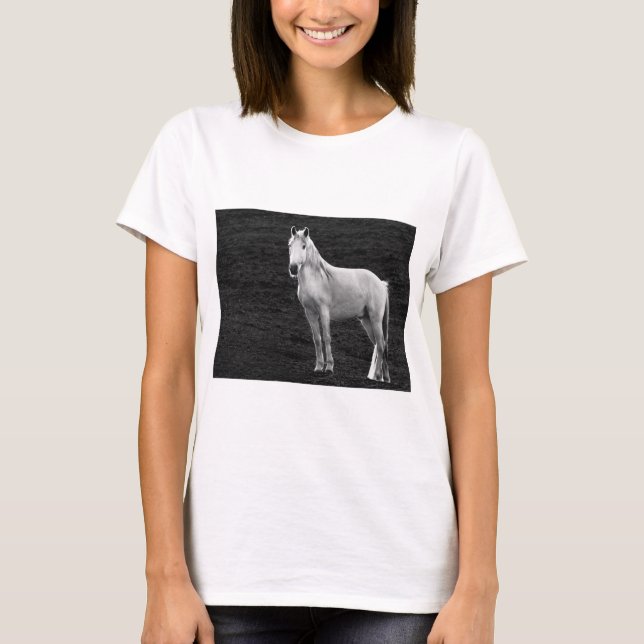 Camiseta LIN10BW el Stance.tif (Anverso)