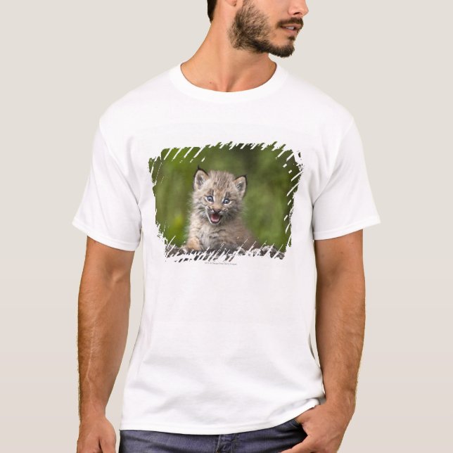 Camiseta Lince del bebé que mira sobre árbol caido A (Anverso)