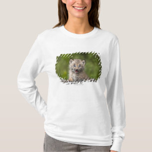 Camiseta Lince del bebé que mira sobre árbol caido A
