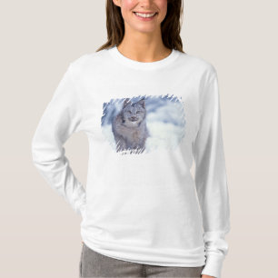Camiseta Lince en la nieve en las estribaciones