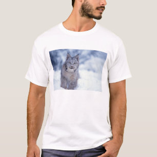 Camiseta Lince en la nieve en las estribaciones