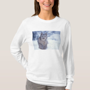 Camiseta Lince en la nieve en las estribaciones