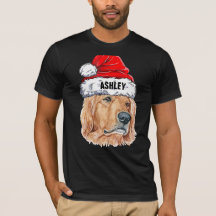 Lindo perro Retriever dorado con sombrero de Navid