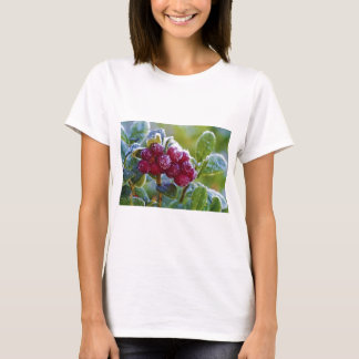 Camiseta Lingüías escarchadas