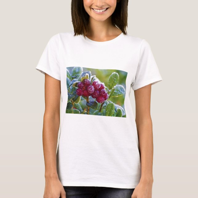 Camiseta Lingüías escarchadas (Anverso)