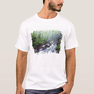Camiseta Linn Cove Creek en cascada por niebla