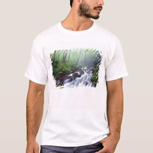 Camiseta Linn Cove Creek en cascada por niebla (Anverso)