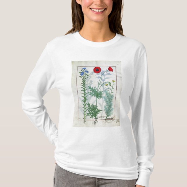 Camiseta Linum, amapolas de jardín y Abrotanum (Anverso)
