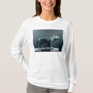 Camiseta Lion, 1904